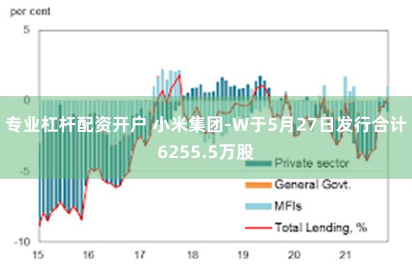 专业杠杆配资开户 小米集团-W于5月27日发行合计6255.5万股