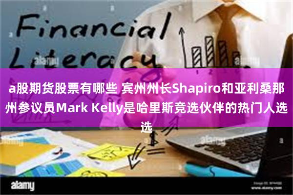 a股期货股票有哪些 宾州州长Shapiro和亚利桑那州参议员Mark Kelly是哈里斯竞选伙伴的热门人选