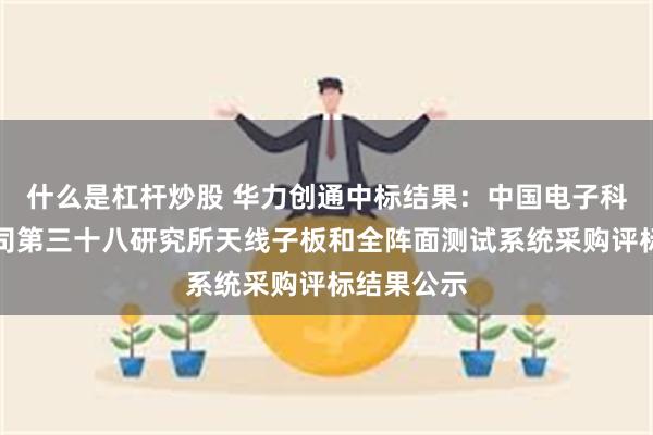 什么是杠杆炒股 华力创通中标结果：中国电子科技集团公司第三十八研究所天线子板和全阵面测试系统采购评标结果公示