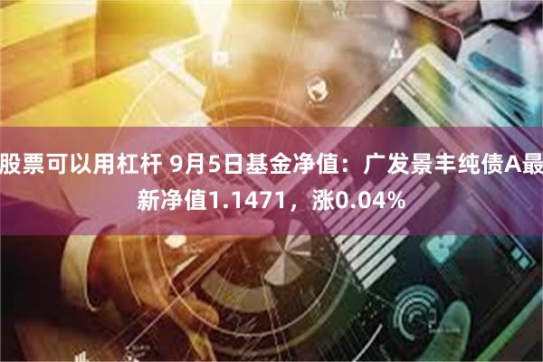 股票可以用杠杆 9月5日基金净值：广发景丰纯债A最新净值1.1471，涨0.04%