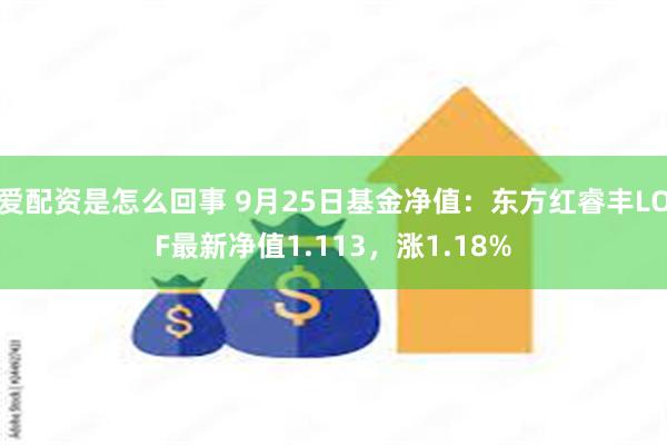 爱配资是怎么回事 9月25日基金净值：东方红睿丰LOF最新净值1.113，涨1.18%