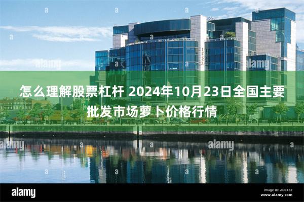 怎么理解股票杠杆 2024年10月23日全国主要批发市场萝卜价格行情