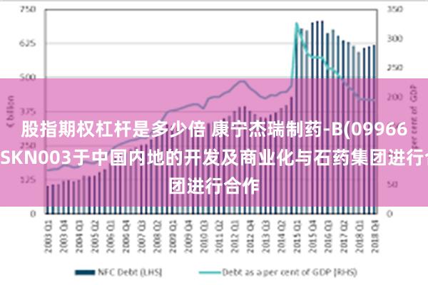 股指期权杠杆是多少倍 康宁杰瑞制药-B(09966)就JSKN003于中国内地的开发及商业化与石药集团进行合作