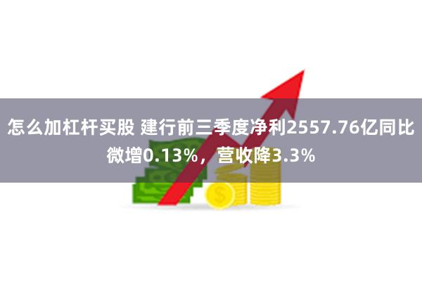 怎么加杠杆买股 建行前三季度净利2557.76亿同比微增0.13%，营收降3.3%