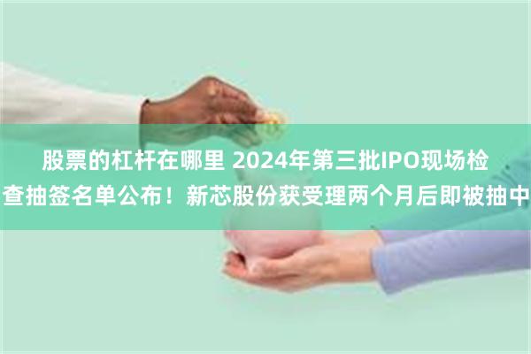 股票的杠杆在哪里 2024年第三批IPO现场检查抽签名单公布！新芯股份获受理两个月后即被抽中