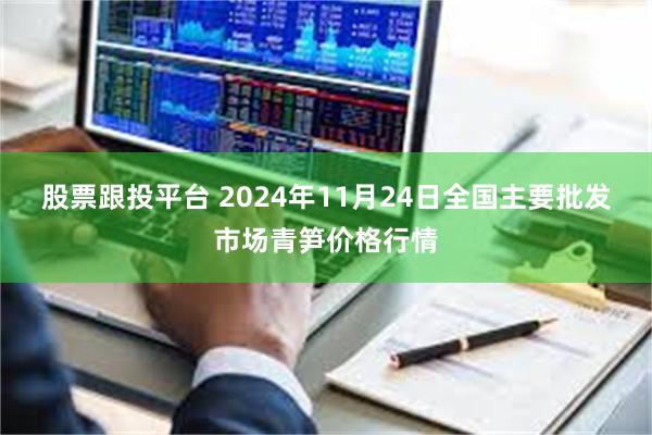 股票跟投平台 2024年11月24日全国主要批发市场青笋价格行情