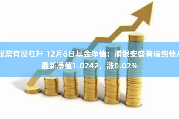 股票有没杠杆 12月6日基金净值：浦银安盛普瑞纯债A最新净值1.0242，涨0.02%