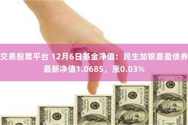 交易股票平台 12月6日基金净值：民生加银嘉盈债券最新净值1.0685，涨0.03%