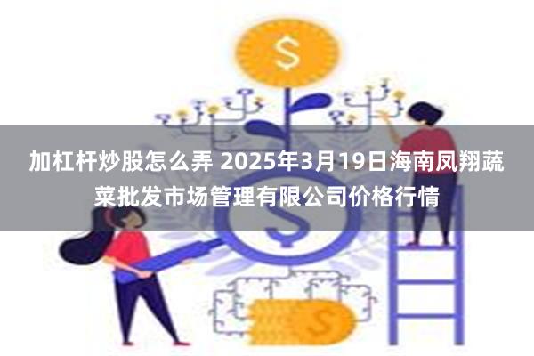 加杠杆炒股怎么弄 2025年3月19日海南凤翔蔬菜批发市场管理有限公司价格行情